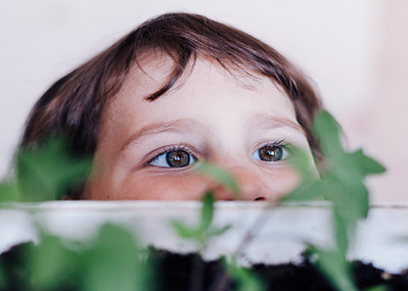 A child peering over growing plants